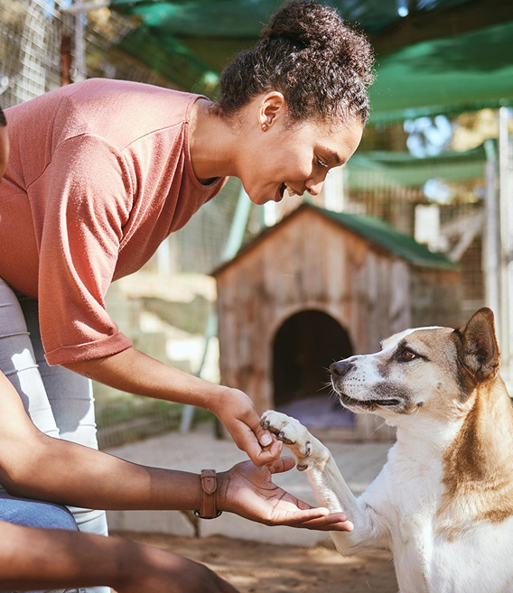 We strengthen the places and people animals depend on for care.